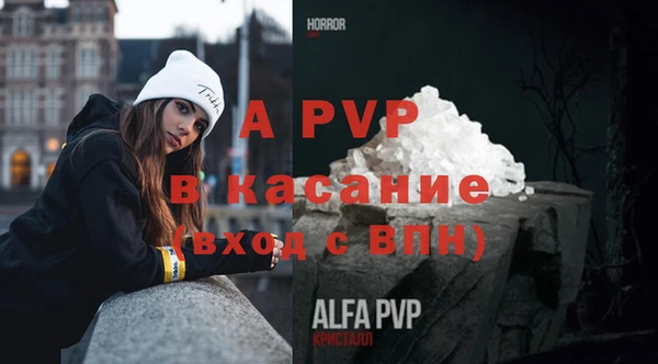 ГАЛЛЮЦИНОГЕННЫЕ ГРИБЫ Вяземский