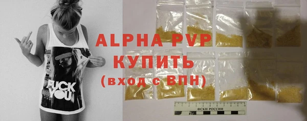 ГАЛЛЮЦИНОГЕННЫЕ ГРИБЫ Вяземский