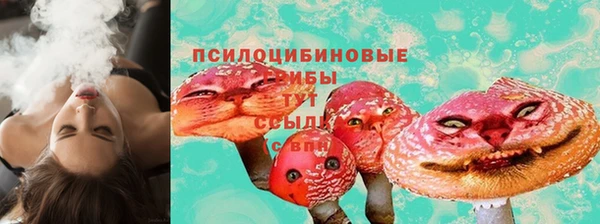 ГАЛЛЮЦИНОГЕННЫЕ ГРИБЫ Вяземский