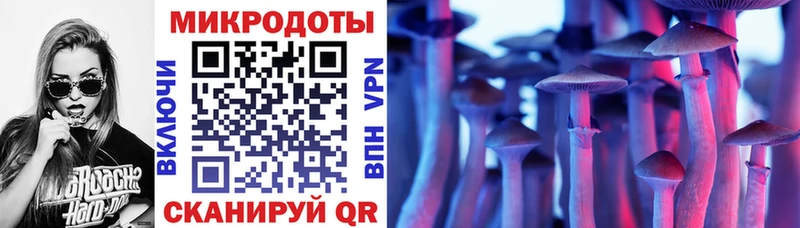 Купить  Наволоки  Псилоцибиновые грибы MAGIC MUSHROOMS 
